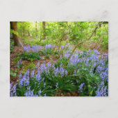 BLUEBELL WOOD ~ Briefkaart ~ 5 (Voorkant)