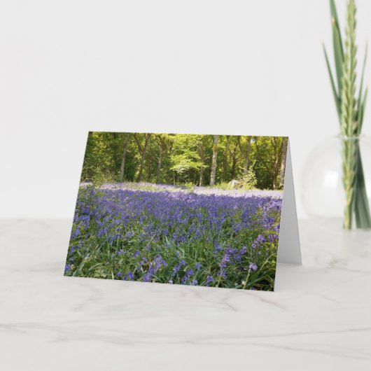 Bluebell Wood Folded Greetings Kaart (Voorkant)