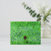 Bluebell Wood Hedégel Briefkaart (Staand voorkant)