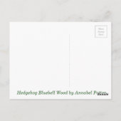 Bluebell Wood Hedégel Briefkaart (Achterkant)