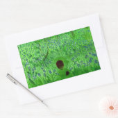 Bluebell Wood Hedégel Green Rechthoekige Sticker (Envelop)