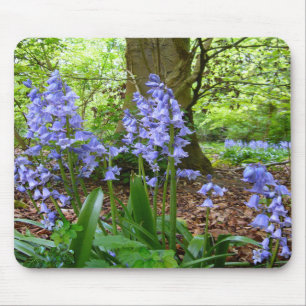 BLUEBELL WOOD ~ Mousepad # 3 Muismat