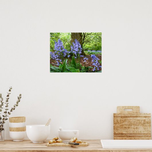 BLUEBELL WOOD ~ Poster # 2 (Keuken)