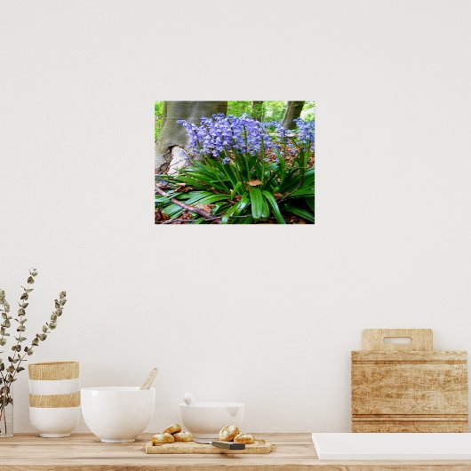 BLUEBELL WOOD ~ Poster # 6 (Keuken)