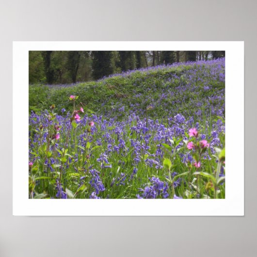 Bluebell Wood Print (Voorkant)