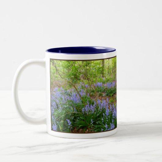 BLUEBELL WOOD ~ Two-Tone Mok (Links)