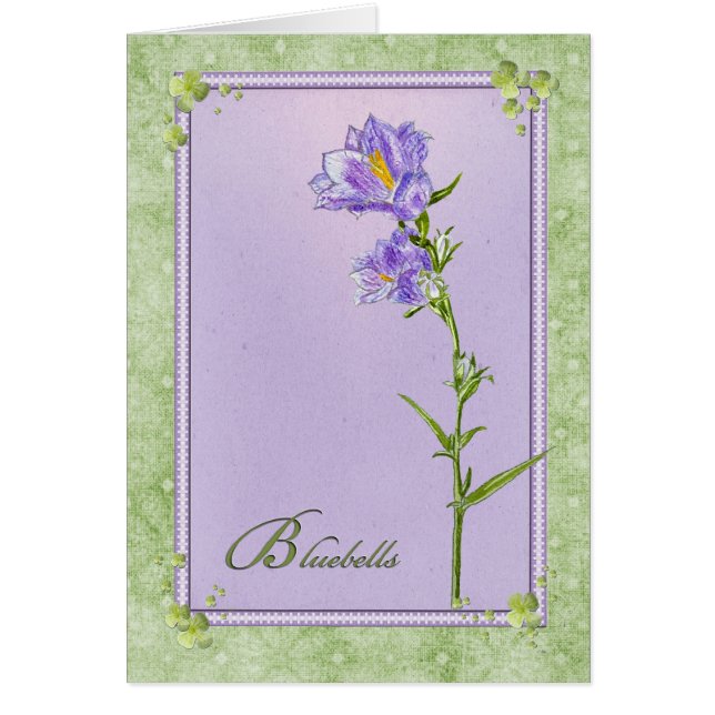 Bluebells (Voorkant)