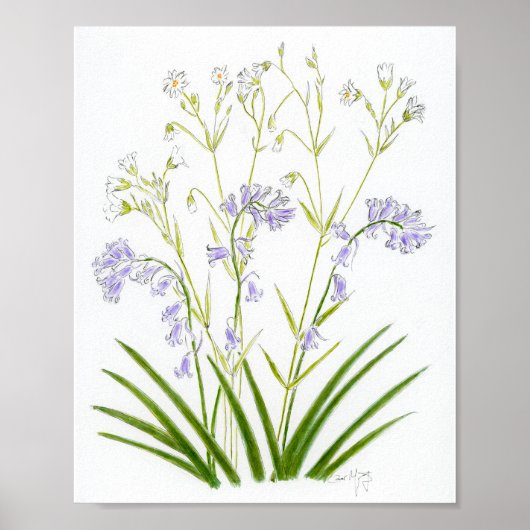 Bluebells and Stitchwort Poster (Voorkant)
