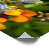 Bluebells Bluebell Spring Flowers Hyacinthoides Poster (Hoek)