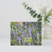 Bluebells Briefkaart (Staand voorkant)