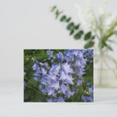 Bluebells Briefkaart (Staand voorkant)