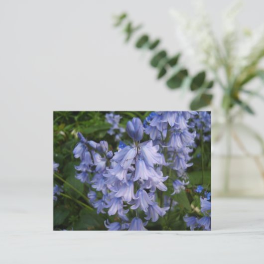 Bluebells Briefkaart (Staand voorkant)