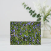 Bluebells Briefkaart (Staand voorkant)