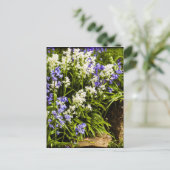 Bluebells Briefkaart (Staand voorkant)