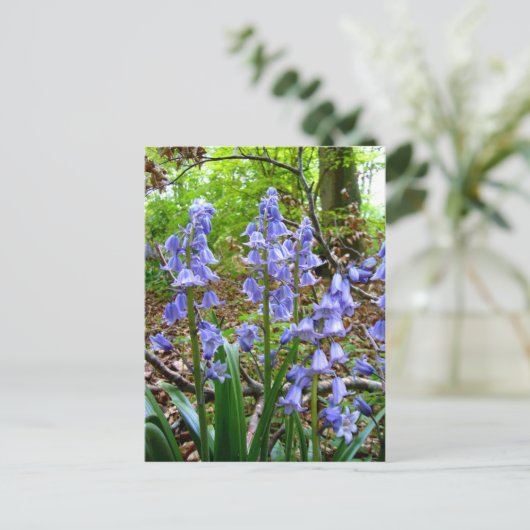 BLUEBELLS ~ Briefkaart (Staand voorkant)