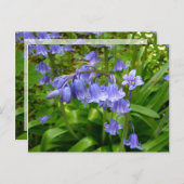 BLUEBELLS~ Briefkaart # 2 (Voorkant / Achterkant)