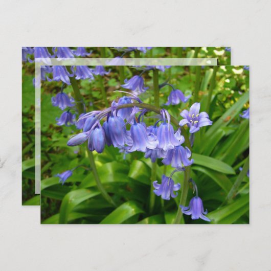 BLUEBELLS~ Briefkaart # 2 (Voorkant / Achterkant)
