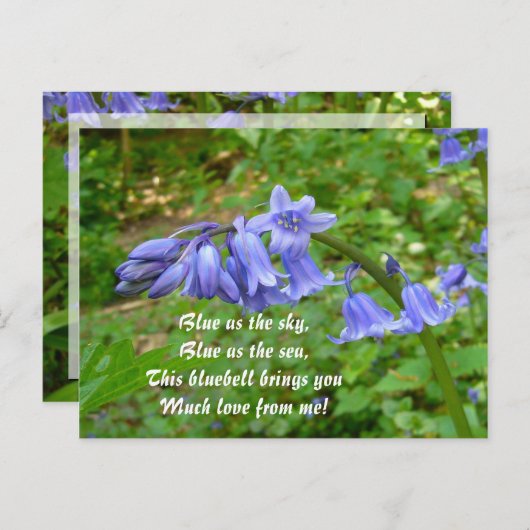 BLUEBELLS ~ Briefkaart # 3 (Voorkant / Achterkant)