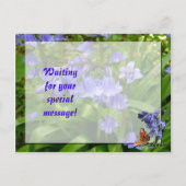 BLUEBELLS ~ Briefkaart # 3 (Achterkant)