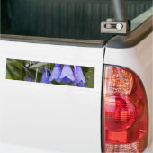Bluebells Bumpersticker (Op Truck)