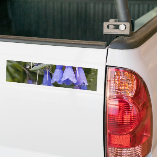 Bluebells Bumpersticker (Op Truck)