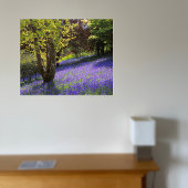 Bluebells Canvas Afdruk