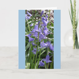 Bluebells Close-Up Fotokaart - Lang Kaart
