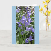 Bluebells Close-Up Fotokaart - Lang Kaart (Gele Bloem)