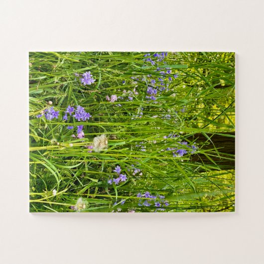 Bluebells & Dandelions in Wild Spring Grass Legpuzzel (Horizontaal)