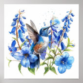 Bluebells Hummingbird Waterverf Print (Voorkant)