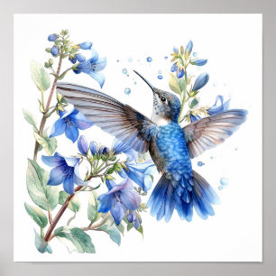 Bluebells Hummingbird Waterverf Print