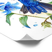 Bluebells Hummingbird Waterverf Print (Hoek)