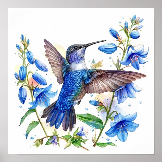 Bluebells Hummingbird Waterverf Print (Voorkant)