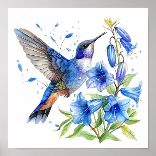 Bluebells Hummingbird Waterverf Print (Voorkant)