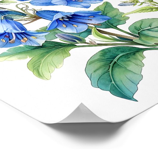 Bluebells Hummingbird Waterverf Print (Hoek)