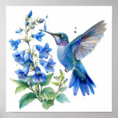 Bluebells Hummingbird Waterverf Print (Voorkant)