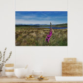 Bluebells in Schotland Poster (Keuken)