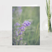 Bluebells in the Wind Kaart (Voorkant)