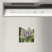 Bluebells Magnet (Insitu (Vaatwasser))