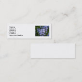 Bluebells Mini Visitekaartje (Voorkant / Achterkant)