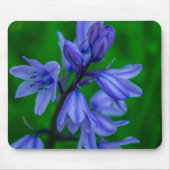 Bluebells Mousemat Muismat (Voorkant)