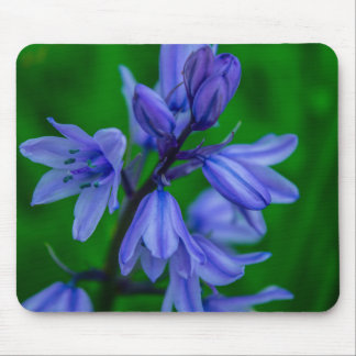 Bluebells Mousemat Muismat
