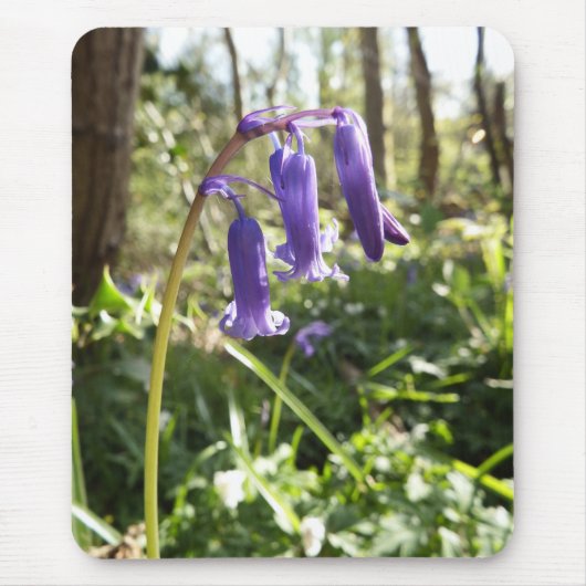 Bluebells Mousepad Muismat (Voorkant)