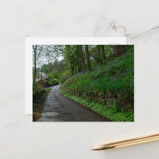 Bluebells on Eastwood Lane Briefkaart (Voorkant / Achterkant in situ)