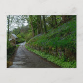 Bluebells on Eastwood Lane Briefkaart (Voorkant)