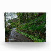 Bluebells on Eastwood Lane Fotoblokken (Voorkant)