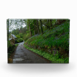Bluebells on Eastwood Lane Fotoblokken