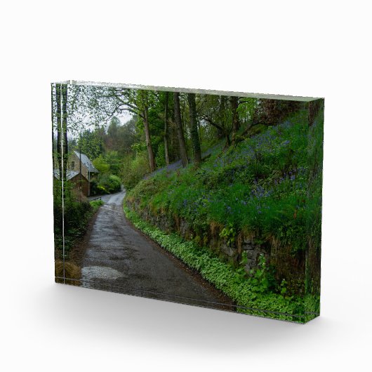 Bluebells on Eastwood Lane Fotoblokken (Rechts)