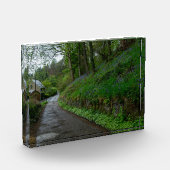 Bluebells on Eastwood Lane Fotoblokken (Links)