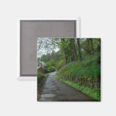 Bluebells on Eastwood Lane Magneet (Voorkant / Achterkant)